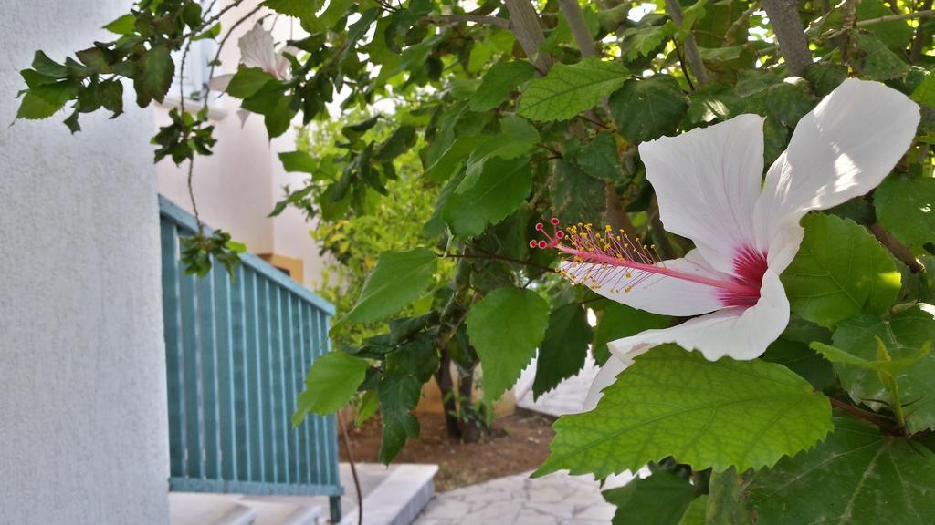 Amazones Village Suites Hersonissos  Exterior foto